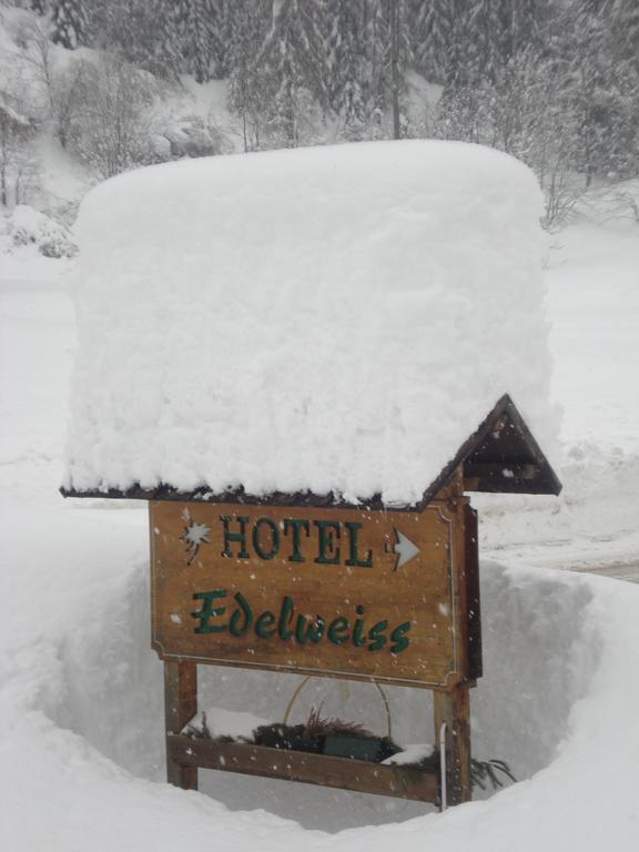 Hotel Edelweiss Val di Zoldo Bagian luar foto